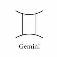 Gemini sign