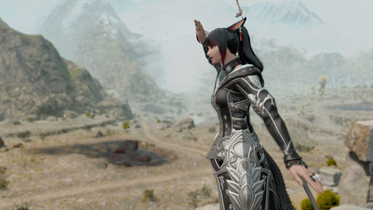 Lookout emote in Final Fantasy XIV