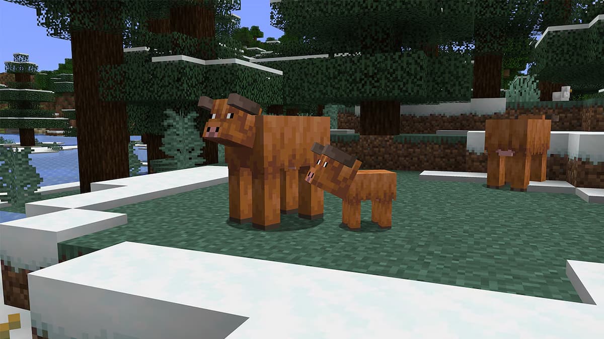 Cold cows in Minecraft