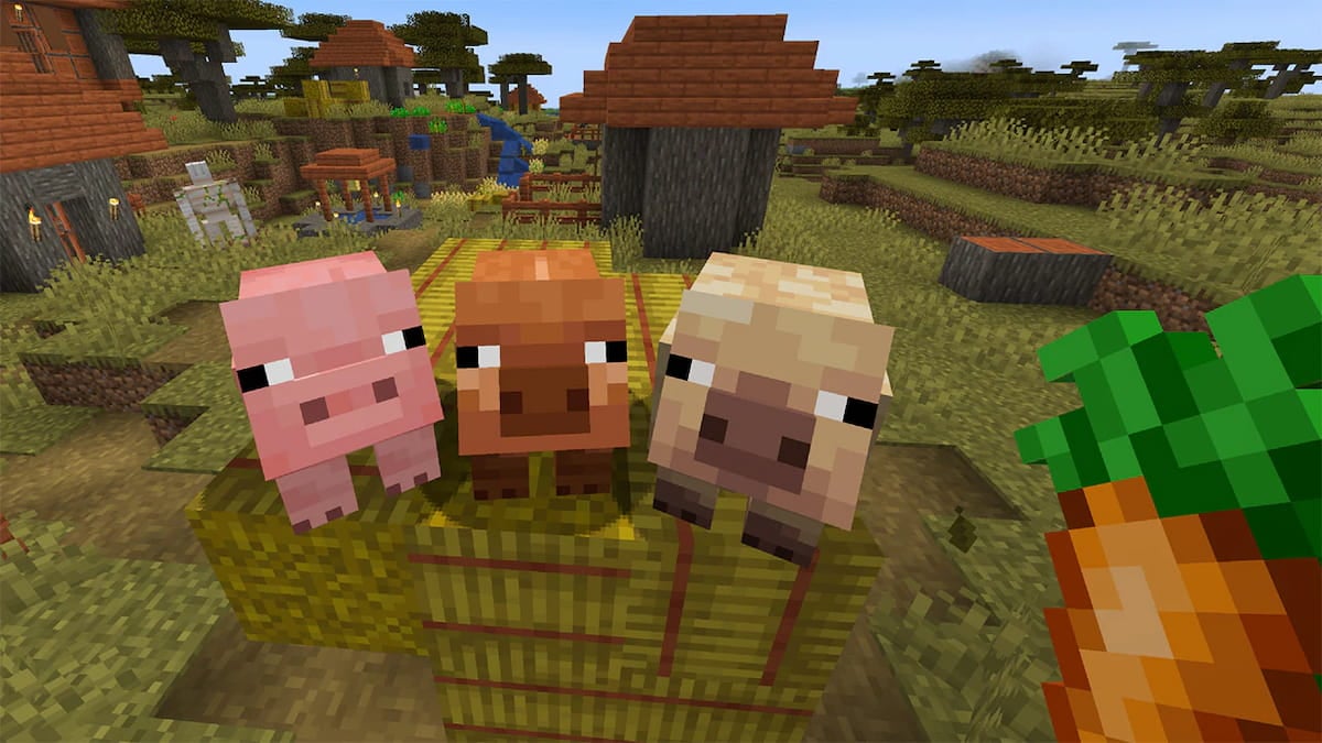 Minecraft warm and cold pig