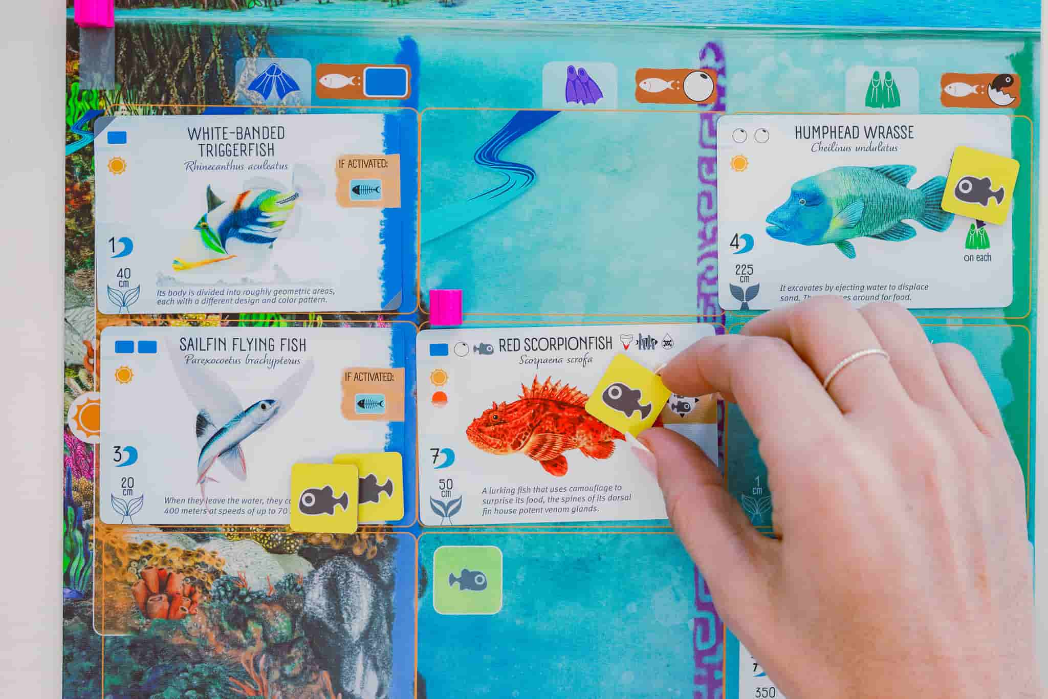 ocean board game