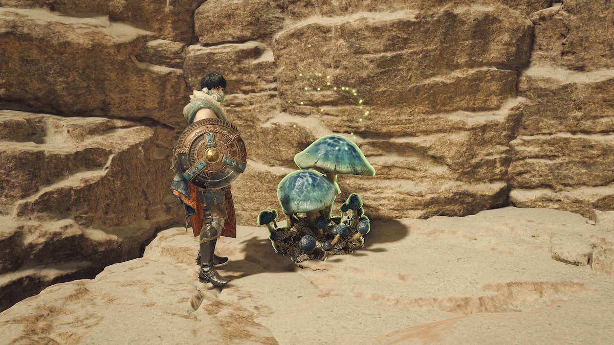 Blue Mushroom in Monster Hunter Wilds