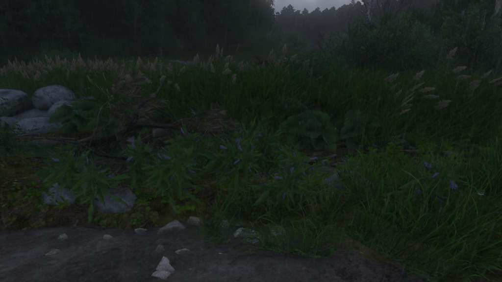 Kingdom Come Deliverance 2 Comfrey in Zhelejov