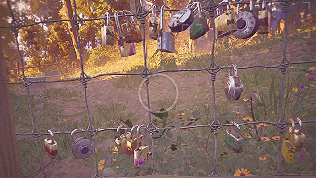 Lovelocks on the fence, as seen through the camcorder in Lost Records: Bloom & Rage