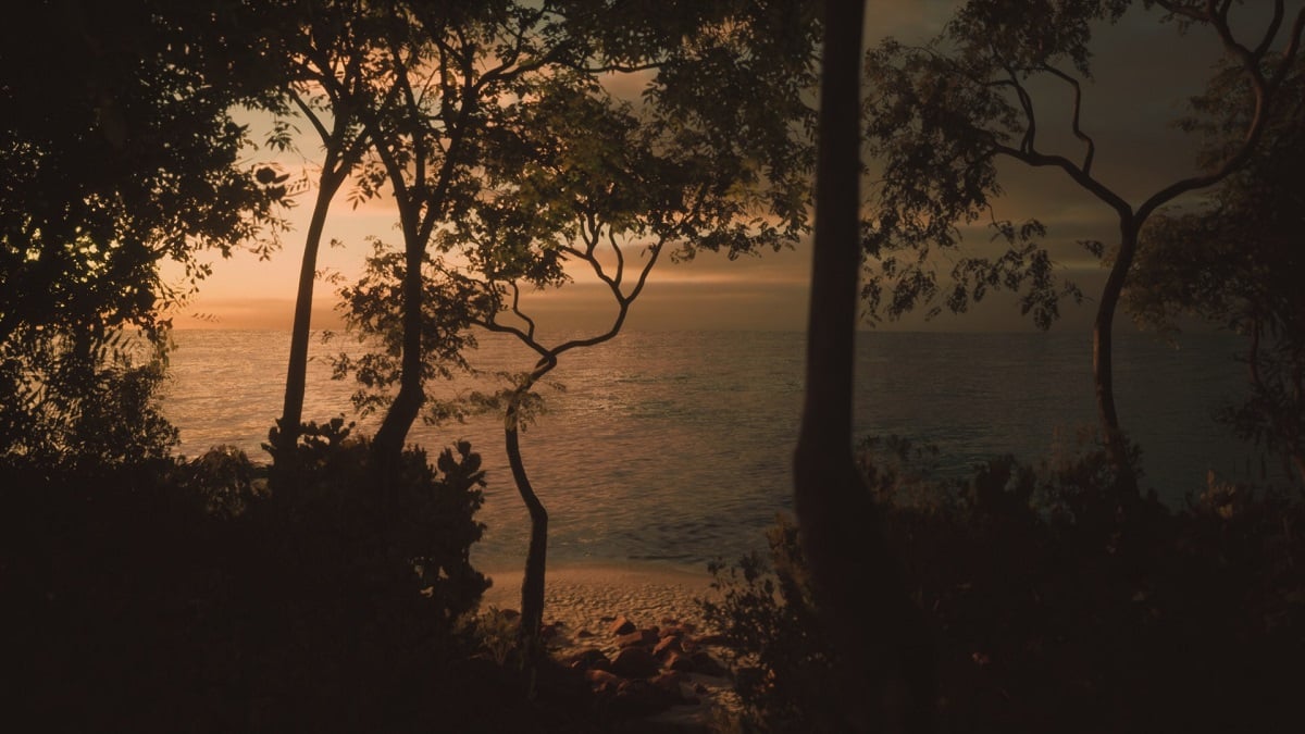 Lustfoil Photography Sim: A beautiful shot of the ocean during a sunset, with silhouetted trees in the foreground.