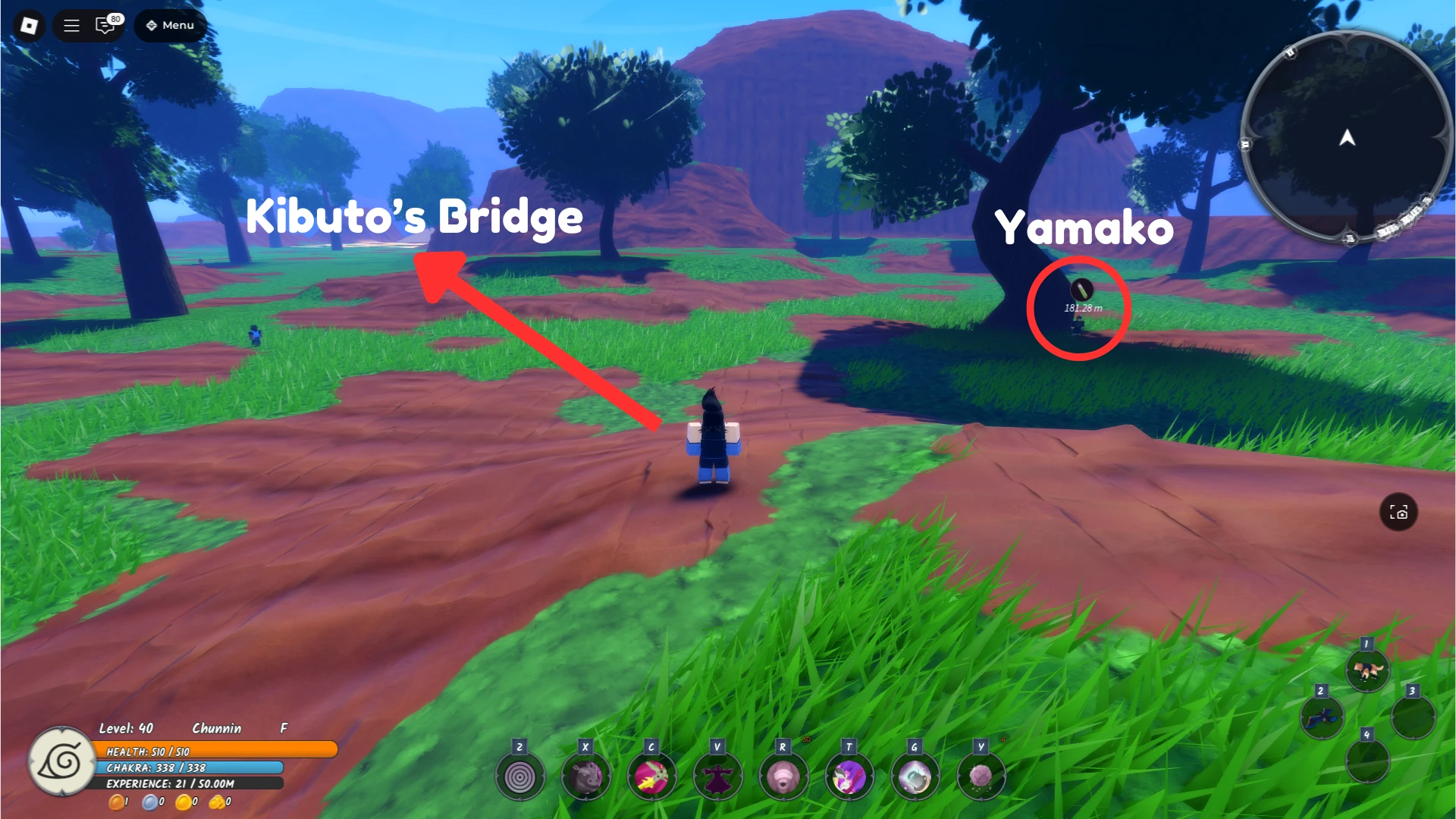 A player showing where Kibutos Bridge is in Ninja Time Roblox experience