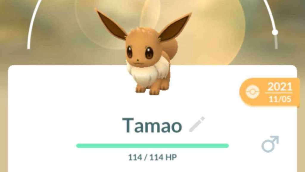 Eevee named Tamao to get Umbreon in Pokémon GO