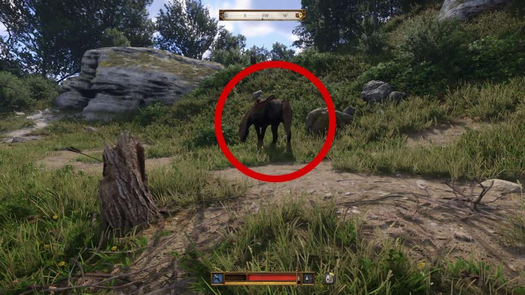 Bronka location in KCD2