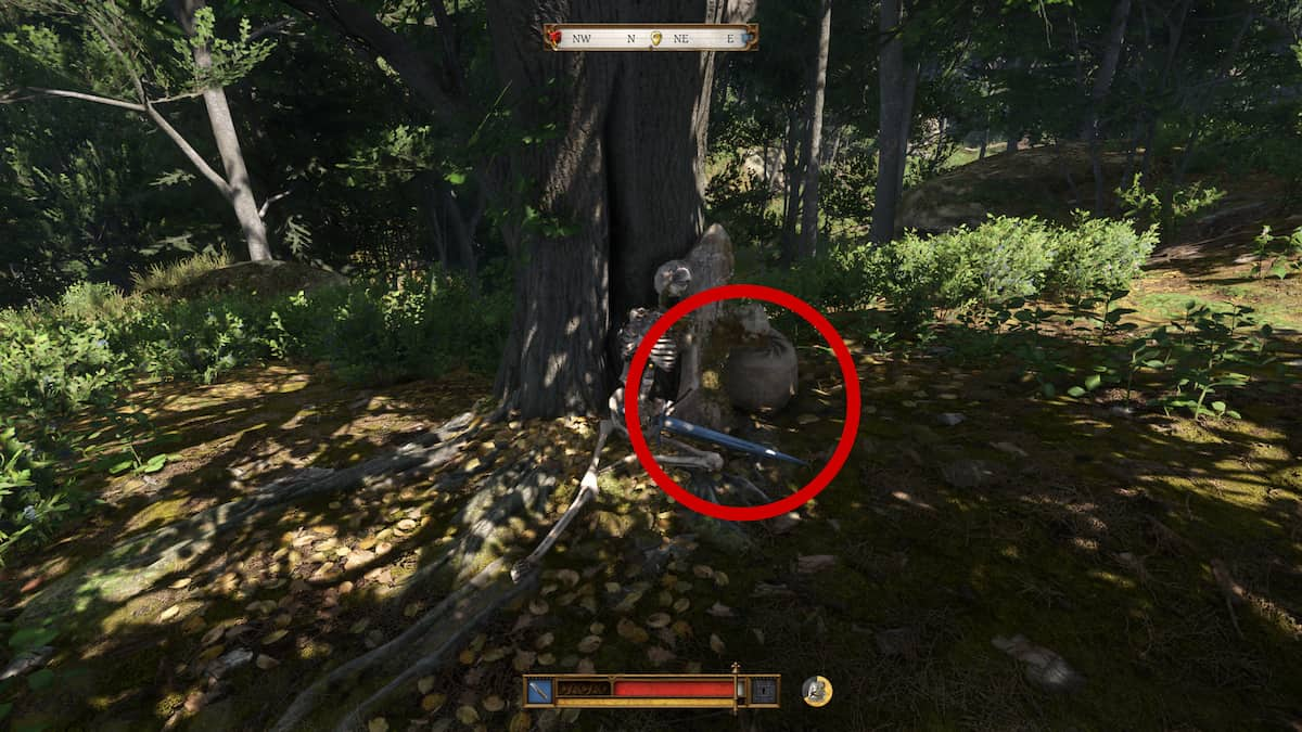 Skeleton holding sword in KCD2