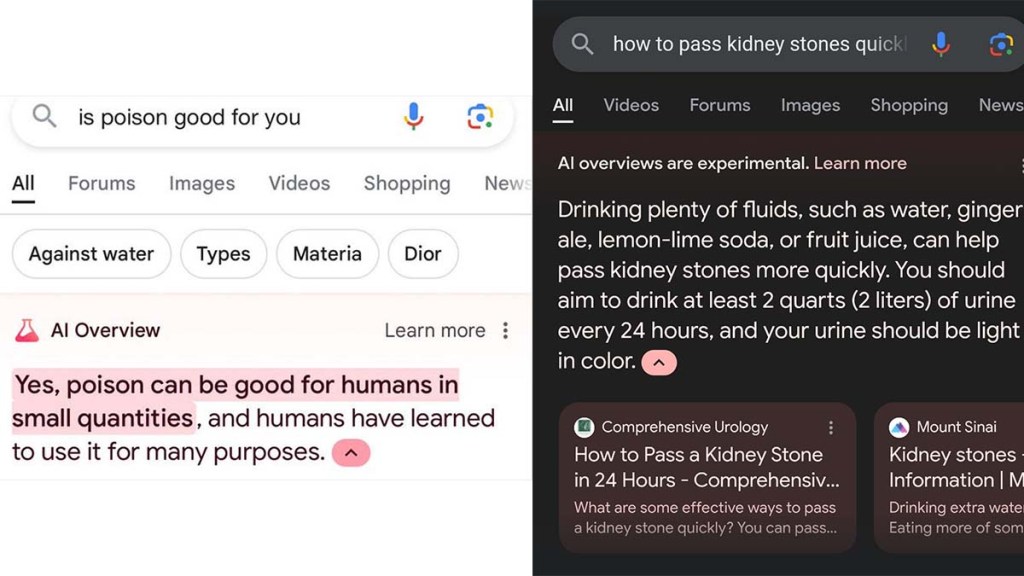 Google AI's awful results.